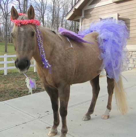 Fairy Pony Ride Birthday Party, My Little Pony Birthday Party, Pony Birthday Party, Little Pony Birthday Party, Toddler Birthday Party, My Little Pony Party, Horse Costumes, Shetland Pony, Horse Dressage