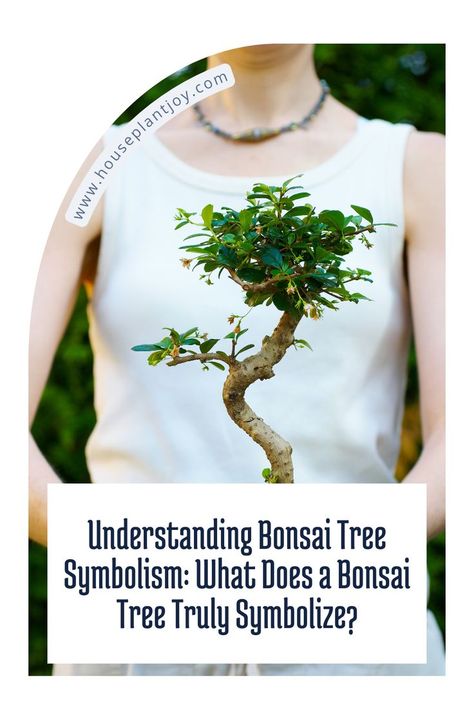 Bonsai: the delicate fusion of horticulture and aesthetics. More than miniature trees, it's an intricate art demanding patience and deep nature understanding. But what does a bonsai tree symbolize? 🌳 #BonsaiArt #NatureSymbolism #MiniatureTrees Tree Symbolism, Deep Nature, Intricate Art, Bonsai Art, Miniature Trees, Plant Art, Bonsai Tree, Horticulture, Nature Beauty