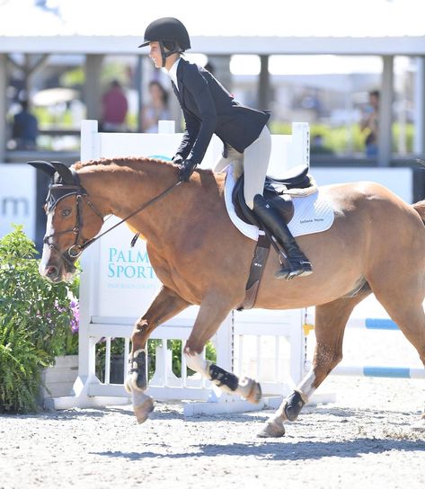 Winter Equestrian, Winter Equestrian Festival, Equestrian Aesthetic, Hadid Sisters, International Festival, Equestrian Sports, Bella Hadid, Wellington, The Winter