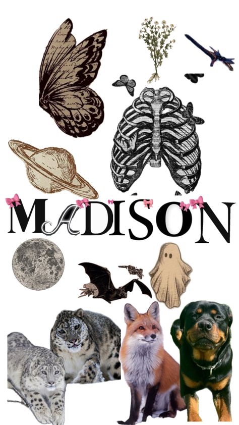 Wallpaper for the name Madison