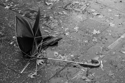 Rain - Broken Umbrella Broken Umbrella, Umbrella Photo, Dark Love, Persona 5, Love At First Sight, Less Is More, Art Project, Penny, Persona