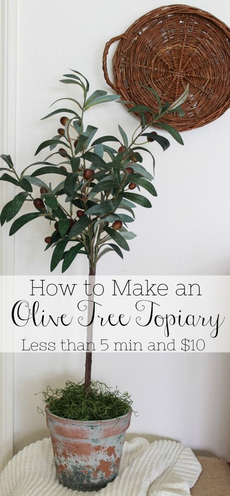 Olive Tree Topiary, Topiary Diy, Topiary Tree, Faux Olive Tree, Crafts For Teens To Make, 10 Dollars, Topiary Trees, Beauty Diy, Topiaries