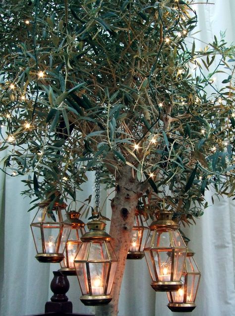 Brass lanterns with tealights hung in tree with pealights. Creates a rustic or vintage look. By www.stressfreehire.com #venuetransformers #stressfreerustic #stressfreevintage #stressfreelighting #stressfreelanterns Chewton Glen, Venues For Weddings, Graduation Ball, Wall Drapes, Architectural Plants, Country House Wedding Venues, Battery Candles, London Venues, Wedding Lanterns