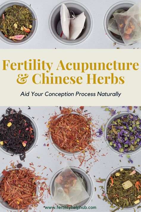 Best Tea For Fertility, Best Herbs For Fertility, Warming Foods Chinese Medicine Fertility, Chinese Medicine For Fertility, Chinese Herbs For Fertility, Herbs For Fertility For Women, Acupuncture For Fertility, Tcm Fertility, Chinese Medicine Fertility