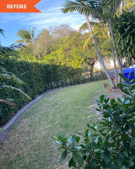 Before and After: A Tropical Backyard With 5 Affordable Ideas to Steal | Apartment Therapy Miami Backyard, Diy Garden Bed, Tropical Backyard, Side Yards, Custom Planters, Trough Planters, Old Fences, Concrete Pavers, Decks Backyard