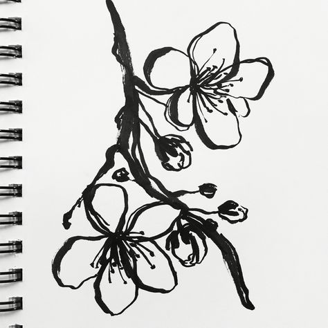 Cherry Blossom Sketch Drawings, Black And White Flower Sketch, Cherry Blossom Linocut, Cherry Blossom Tattoo Black And White, Cherry Blossom Doodle, Cherry Blossom Sketch, Cherry Blossom Silhouette, Blossom Sketch, Drawing Cherry