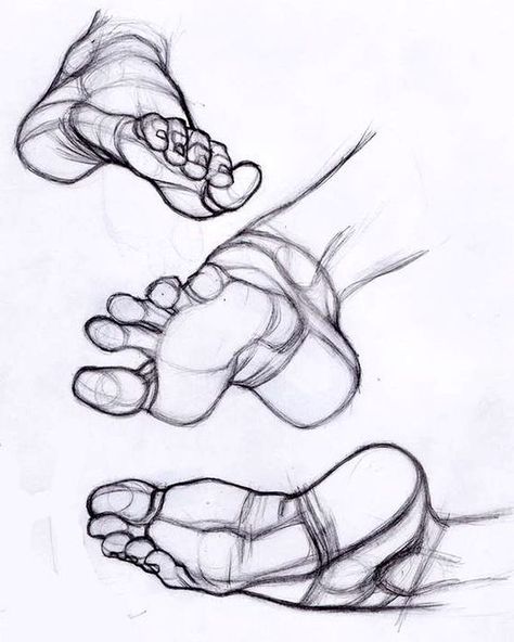 Anatomy of the Human Foot Feet Drawing, Foot Anatomy, Human Anatomy Drawing, Human Figure Drawing, Human Anatomy Art, Anatomy Sketches, Anatomy For Artists, Gesture Drawing, Anatomy Drawing