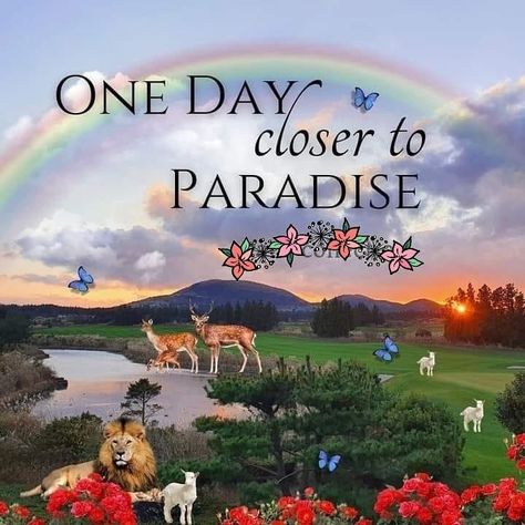 Jehovah Witness Paradise, Jehovah's Witnesses Beliefs, Paradise Quotes, Beautiful Day Quotes, Jehovah Paradise, Happy Teddy Day Images, Paradise Pictures, Life In Paradise, Jehovah Quotes