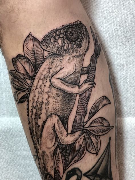 Chameleon Tattoo Realistic, Camilion Tattoos, Chameleon Tattoo Simple, Belgrade Tattoo, Reptile Tattoo Ideas, Chameleon Tattoos, Reptile Tattoo, Chameleon Illustration, Chameleon Tattoo