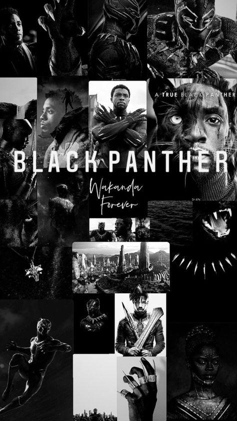 Wakanda Aesthetic Wallpaper, Wakanda Forever Wallpaper Iphone, Black Panther 4k Hd Wallpaper, Shuri Wakanda Forever Wallpaper, Black Panther Wakanda Forever Aesthetic, Black Panther Wallpaper Iphone 4k, Black Panther Wallpaper Iphone, Wakanda Forever Aesthetic, Black Panther 4k