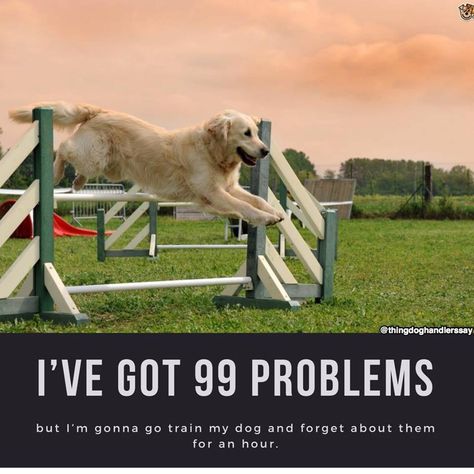 Dog Agility Quotes Funny, Agility Quotes, Agility Training, Dog Agility, Strong Quotes, Dog Memes, Dog Stuff, Quotes Funny, Dog Person