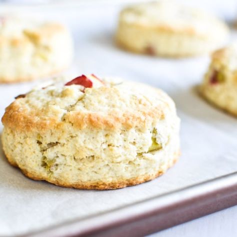 Rhubarb Scones - The View from Great Island Rhubarb Scones, Sweet Slices, Freeze Rhubarb, Food Morning, Mini Scones, Doughnut Muffins, The View From Great Island, Chocolate Scones, Rhubarb Desserts