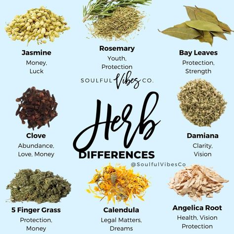 2,013 Likes, 30 Comments - Spiritual Shop (@soulfulvibesco) on Instagram: “What Herb could you use to Manifest with?⁠ Comment below ⬇️⁠ ⁠ ⁠ ⁠ 🚨 We now carry Herbs & Salts 🚨⁠…” Protection Herbs And Spices, Herbs For Intentions, Witchy Herbs And Spices, Spiritual Herbs And Spices, Self Love Herbs And Spices, Herbs To Burn In Your Home, Wicca Herbs And Uses, Herbs For Spiritual Bath, Protection Herbs Magick