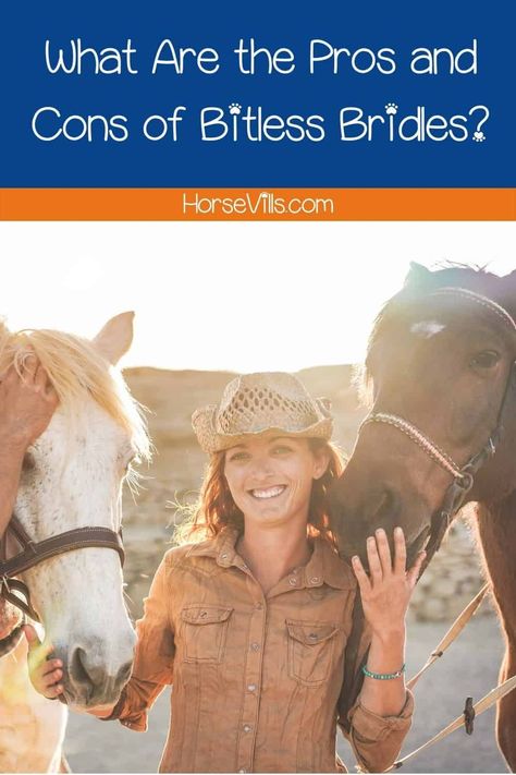 Bitless Bridle Western, Bitless Bridle Horse, Western Horseman, Bitless Bridle, Facial Nerve, Rough Hands, Horse Equipment, Horse Accessories, Horse Health