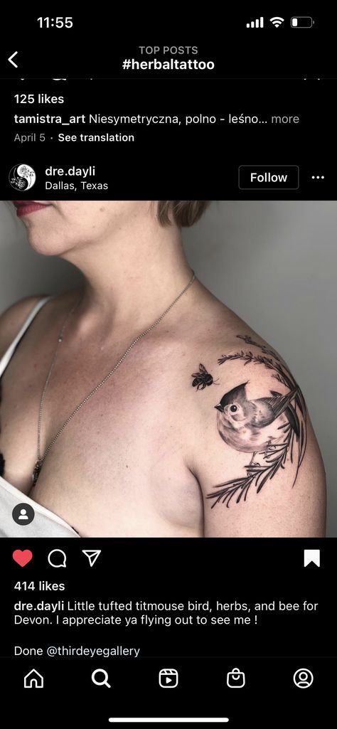 Titmouse Bird Tattoo, Tufted Titmouse Tattoo, Titmouse Tattoo, Wv Tattoo, Titmouse Bird, Fern Tattoo, Tufted Titmouse, Party Tattoos, Birds Tattoo