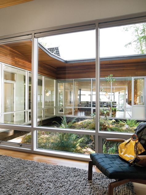 The plan of the house revolves around a rocky outcropping lush with life that acts as the home’s central atrium. The granite was left intact in order to serve as the nucleus of the courtyard, and the walls of windows draw a wealth of natural daylight into the back of the building. Courtyard Patio, Atrium House, Atrium Design, Courtyard House Plans, Diy Air Freshener, Urban Interiors, Internal Courtyard, Glass Walls, Patio Interior