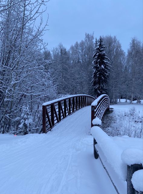 Fairbanks Alaska Winter, Alaska Winter, Winter Landscape Photography, Fairbanks Alaska, Christmas Dreaming, I Love Winter, Wallpaper Photo, Negative Comments, Winter Inspo