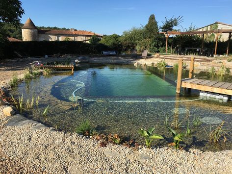 We got great feedback when we introduced you to the ultimate swimming pond. If you missed the post, you can read it here. We live in a climate ... Organic Pools, Desert Pools, Ponds Ideas, Swim Pond, Build A Pond, Pond Diy, Bio Pool, Swimming Ponds, Pond Pool