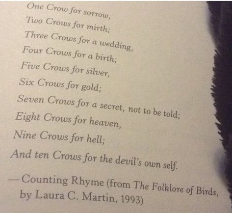 Crow Counting, Counting Rhymes, Six Of Crows, More Words, Urban Fantasy, Writing