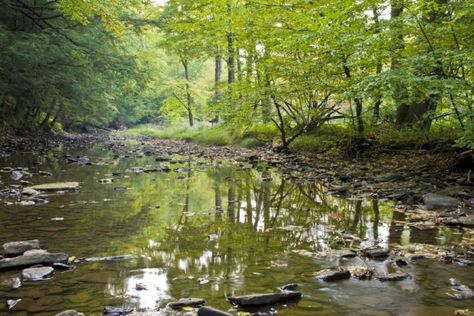 Tidioute Creek Beautiful River, Hard To Find, Pennsylvania, Most Beautiful, Water