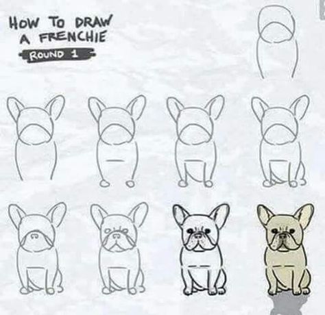 French Bulldog Drawing, Bulldog Drawing, Arte Doodle, French Bulldog Art, Bulldog Francese, 강아지 그림, Bulldog Art, French Bulldog Puppies, Dessin Adorable