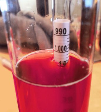 Mead Wine Recipes, Rhubarb Wine, Wine Making Recipes, Homemade Wine Recipes, Rum Alcohol, Muscadine Wine, Wine Ideas, Homemade Alcohol, Making Wine