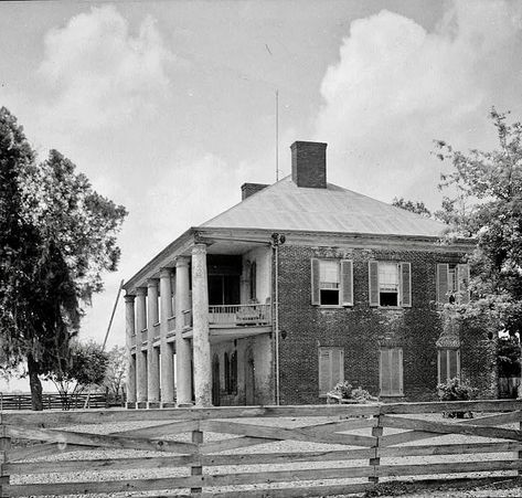 Ruth A on Instagram: “Chretien Point c1831 near Sunset LA - legend has it that the stairs at Chretien Point were used to model the stairs at Tara in…” Cotton Plantations, Abandoned Plantations, Louisiana Plantations, Southern Mansions, Southern Plantations, Antebellum Homes, Yellow Fever, Cotton Fields, Old Mansions