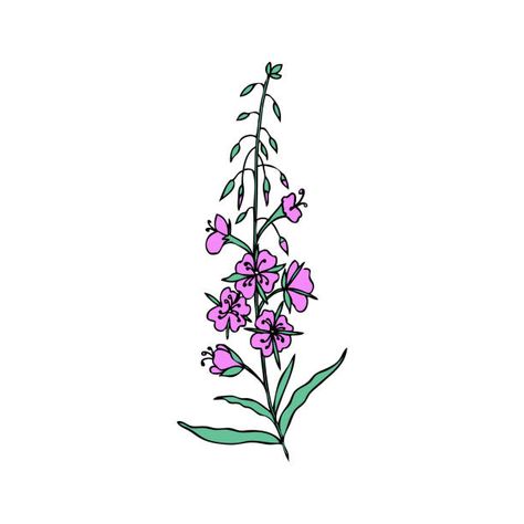 Fireweed Drawing, Family Stock Photo, Metal Background, Lifestyle Illustration, Silhouette Illustration, Video Artist, Photo Calendar, Family Illustration, Landscape Illustration