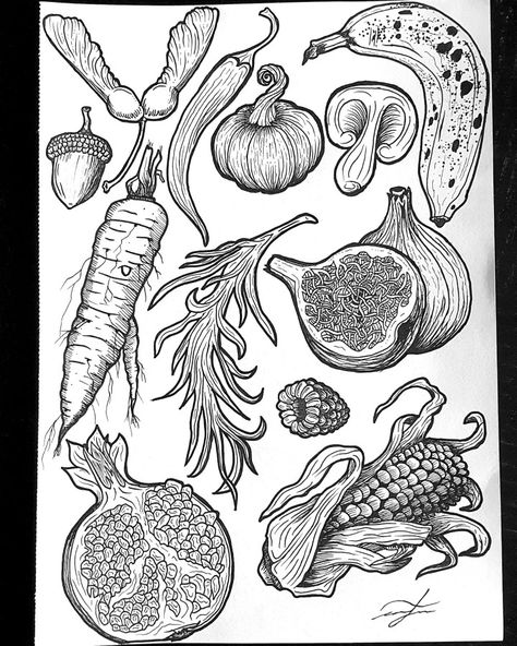 Hand drawn Fruit and vegetables Fruit And Vegetable Tattoo, Vegetable Tattoo, Chef Tattoo, Vegetable Drawing, Vegetable Illustration, Food Drawings, Flowers Coloring, Food Drawing, Fruit And Veg