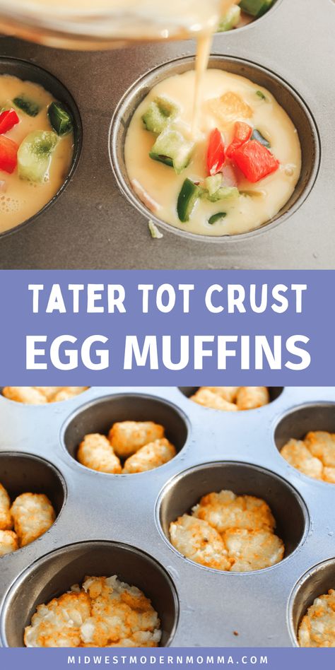 Egg Muffins with Tater Tots Egg Tater Tot Muffins, Breakfast Muffins With Tater Tots, Tater Tot Egg Cups, Egg Bites Muffin Tins With Hashbrowns, Tater Tot Egg Bites, Egg Baked In Muffin Tin, Tater Tot Egg Muffins, Mini Omelettes Muffin Pans, Egg Bake Cups Muffin Tins