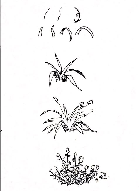 Grass Ink Drawing, Landscape Practice Drawing, Flowerbed Drawing, Landscape Drawing Practice, Pencil Drawings Landscape, Greenery Sketch, 5 Elements Of Nature Art, How To Draw Plants, Landscape Architecture Design Sketch