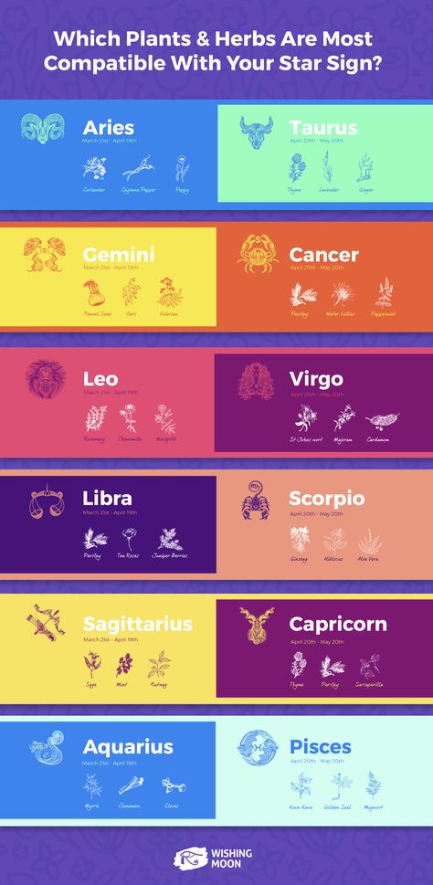 Which Plants & Herbs Are Most Compatible With Your Star Sign? | Horoscope | Zodiac | Astrology | Spirituality | Zodiac Signs Outfits, Homemade Incense, Mindful Gifts, Goddess Party, Astrology Spirituality, Spiritual Room, Aquarius Sign, Magic Herbs, Astrology Numerology