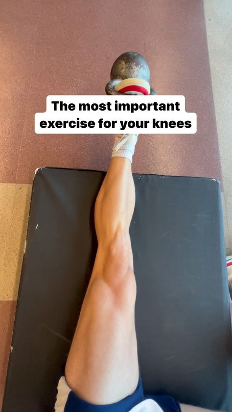 Workout Bad Knees, Leg Workout Knee Injury, Bulletproof Knees, Ligaments Of The Knee, Knee Ligament Injury Exercise, Knee Ligament Injury, Running Exercises, Knee Pain Relief Exercises, How To Strengthen Knees