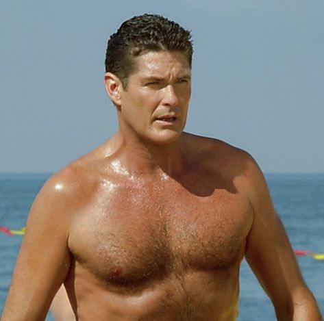 David Hasselhoff Baywatch, David Hasselhoff, Knight Rider, Baywatch, Tv Shows, It Cast