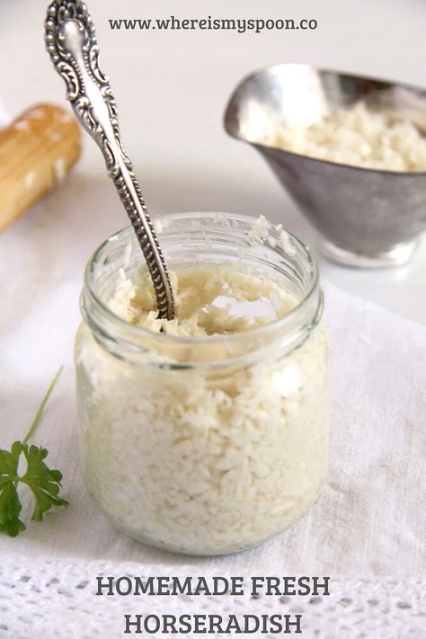 Raw Horseradish Recipe, How To Make Horseradish, Horse Radish, Homemade Horseradish, Horseradish Recipes, Fresh Horseradish, Homemade Sandwich, Radish Recipes, Prepared Horseradish