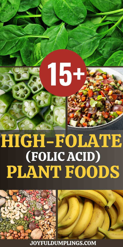 Are you struggling to incorporate enough folate into your diet? Folate, also known as vitamin B9, is a nutrient that’s immensely crucial for our wellbeing.  Here, we will guide you through the potent powerhouses of folate—vegetables! Prepare to supercharge your meals, one bite at a time. Foods High In Folate, Folate Rich Foods, Folate Foods, Mineral Nutrition, Vitamin B9, Vegan Salad Recipes, Pregnancy Food, Vegan Salad, Heart Healthy Recipes