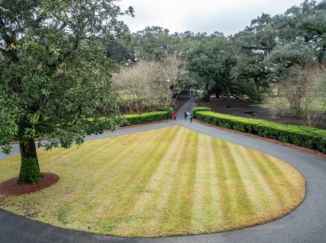 A driveway shaped like a teardrop, green grass and a tall tree in the center, low profile bushes liing the sides and huge green trees all around Teardrop Driveway, Circular Driveway Ideas, Driveway Materials, Circle Driveway, Brick Driveway, Driveway Ideas, Circle Drive, Stone Driveway, Driveway Design