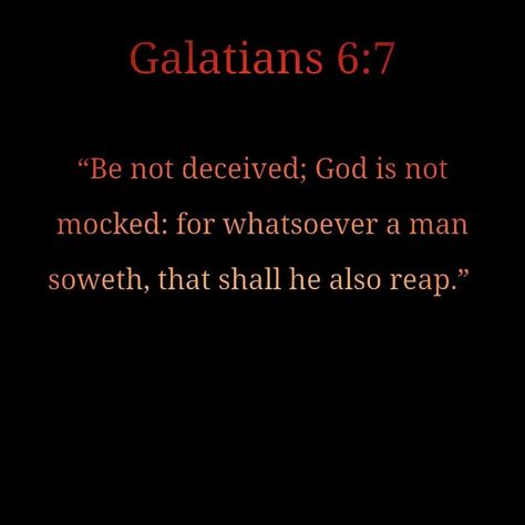 Reap What You Sow We Reap What We Sow Quotes, You Reap What You Sow Bible Verse, Reap What You Sow Quotes Bible, You Reap What You Sow, You Reap What You Sow Quotes, Reap What You Sow Quotes, Galatians 6 7, Reap What You Sow, Christian Board