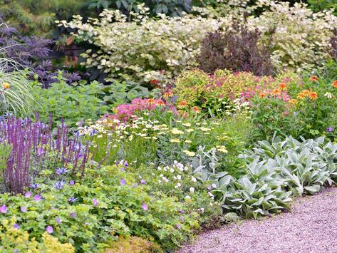 How to Plant a Border Garden that Will Add Color to Your Landscape Courtyard Garden Design, Border Garden, Flower Bed Borders, Container Garden Design, Short Plants, Gardening Trends, Border Plants, Landscape Edging, Big Garden