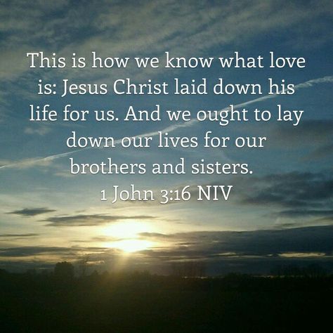 1 John 3:16, 1 John 3 16, Bible Readings, Max Lucado, Scripture Reading, John 3 16, Inspirational Scripture, Prayer Room, John 3:16