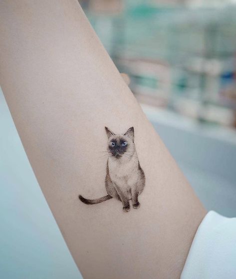 Siamese Cat Tattoo, Siamese Cat Tattoos, Cat Eye Tattoos, Minimalist Cat Tattoo, Small Animal Tattoos, Cat Tattoo Simple, See Tattoo, Cute Cat Tattoo, Omerta Tattoo