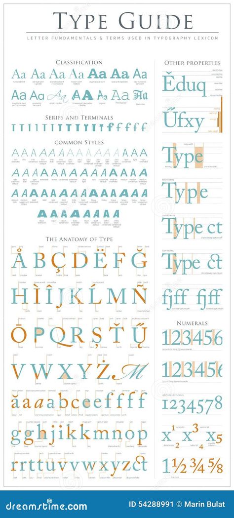 Type anatomy guide stock vector. Illustration of capital - 54288991 Anatomy Of Type, Letter Anatomy, Anatomy Of Typography, Anatomy Guide, Colour Wheel Theory, Type Anatomy, Abc Font, Abstract Animal Art, Letter Vector