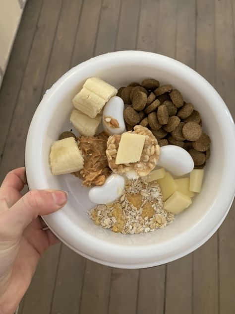 Dog Breakfast Ideas, Dog Food Bowl Aesthetic, Food Bowls For Dogs, Behind The Net, Stephanie Archer, Dog Breakfast, Dog Meals, Pet Store Ideas, Puppy Mom