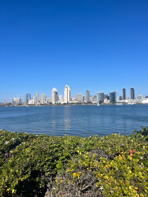 views from Coronado Island Coronado Island San Diego, Coronado San Diego, Fake Insta, San Diego Food, Apartment Wall Decor, Coronado Island, Post Grad, Island Home, American Dream