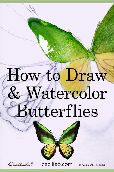 Water Colour Painting Easy Art Projects, Watercolour Insect Art, Watercolor Butterflies Painting, Beginning Watercolor Ideas, Butterfly Watercolor Painting Easy, Watercolor Bugs, Watercolor Birds Tutorial, Watercolour Butterflies, Watercolor Techniques Tutorial