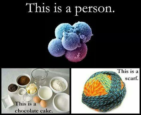 Faith In Humanity Restored, Intersectional Feminism, Women’s Rights, Food For Thought, Chocolate Cake, The Conversation, On Twitter, Twitter