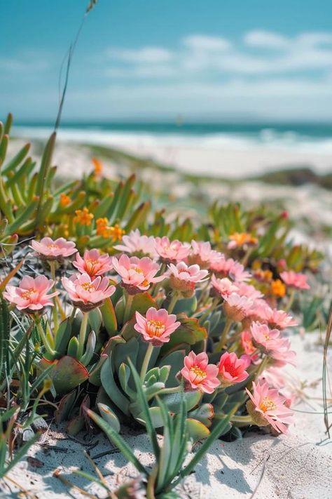 Coastal Charm: Top Beach Landscape Ideas for Homes Coastal Landscaping Ideas, Summertime Flowers, Beach Plants, Functional Backyard, Beach House Landscaping, Coastal Plants, Coastal Landscaping, Small Urban Garden, Home Retreat