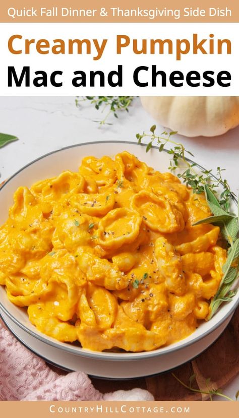 Make a cozy bowl of pumpkin mac and cheese for all the chilly autumn nights. When you’re in need of a simple dinner, make pumpkin macaroni. The satisfying dish is full of rich, creamy sauce, buttery pasta, and earthy fall flavors. The dish comes together in well under 30 minutes, making it perfect for any night of the week. Whether you want a fall-themed weeknight dinner or looking for a quick Thanksgiving side, this pumpkin macaroni and cheese recipe accommodates. | CountryHillCottage.com Crockpot Pumpkin Mac And Cheese, Buttery Pasta, Mac N Cheese Crockpot, Quick Fall Dinner, Lunch Work, Macaroni Casserole, Pumpkin Lasagna, Pumpkin Bowl, Butternut Squash Mac And Cheese