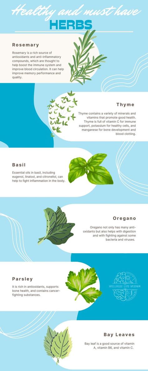 Oregano Benefits, Basil Benefits, Basil Health Benefits, Basil Essential Oil, Medical Facts, Everyday Dishes, Healthy Lifestyle Food, Healthy Food Motivation, Holistic Medicine