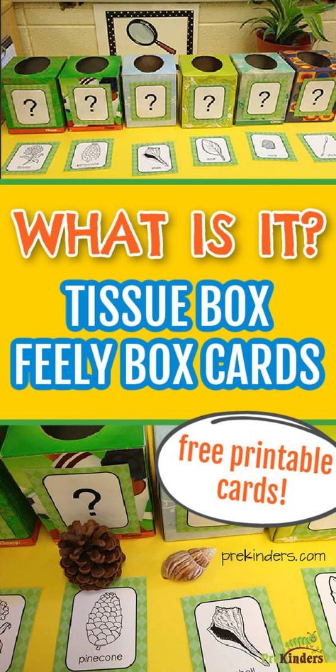 Mystery Activities For Preschool, Box Study Preschool Activities, Sensory Boxes For Preschoolers, Box Study Preschool, Animal Coverings, Spy Activities, Tk Ideas, Science Table, Box Activities